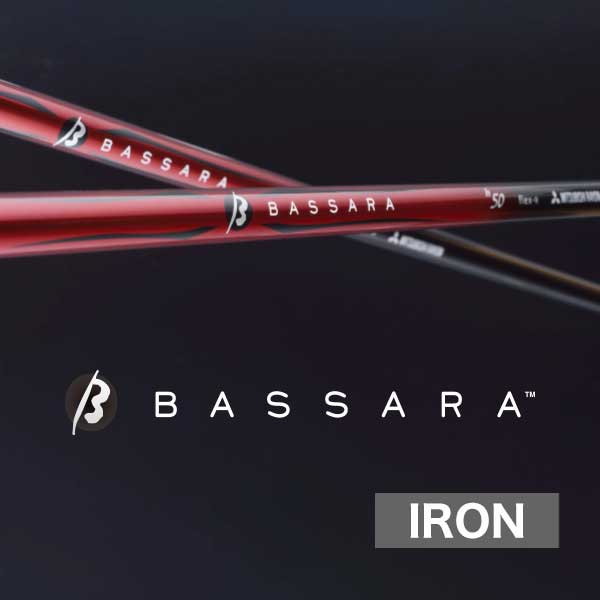 三菱ケミカル BASSARA IRON