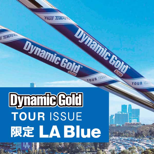 トゥルーテンパー 【数量限定】DG TOUR ISSUE EX LA BLUE