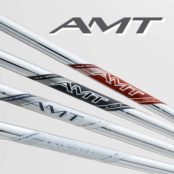 トゥルーテンパー 新AMT