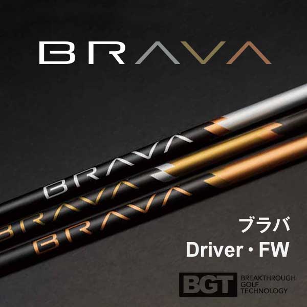 スタビリティ・BGT Brava DR・FW用